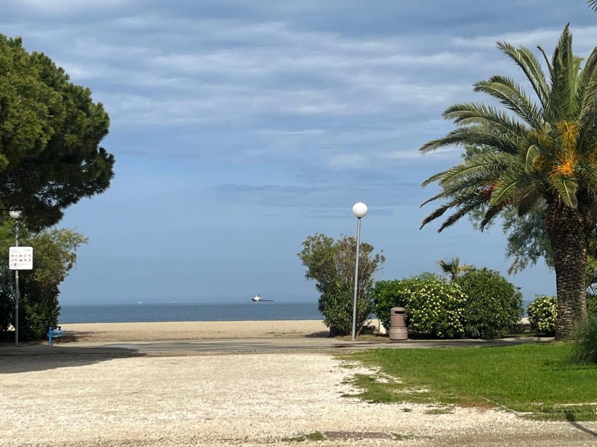 Grand F3 Vue Mer Centre Plage Proche Commerces Plage dʼArgelès Exterior foto